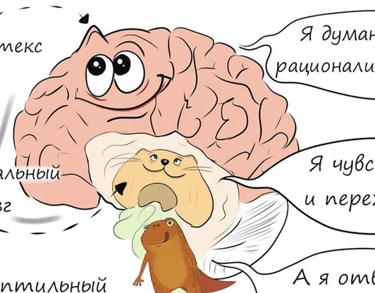 2 модуль - Общая психология
